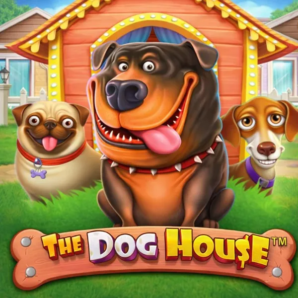 Dog House